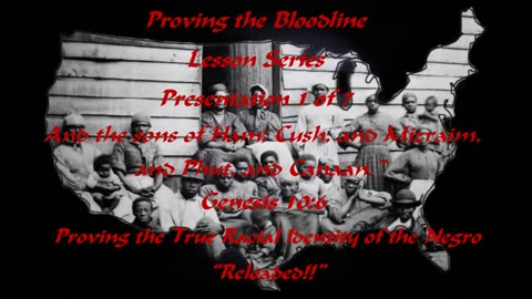 The Negro Bloodline Bible Series