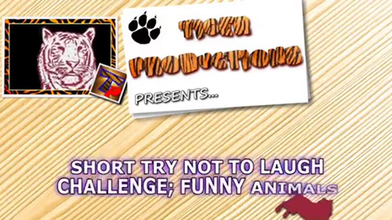 SHORT TRY NOT TO LAUGH CHALLENGE - 10 videos, 10 points - What's your score?