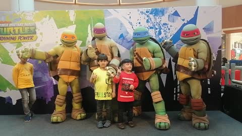 Playing with turtles