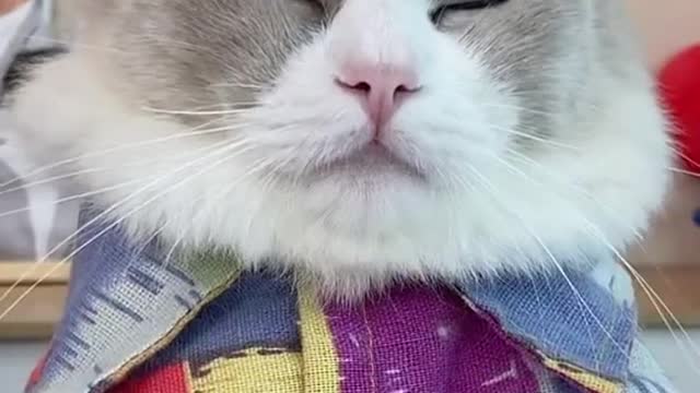 Is that a magic trick or something