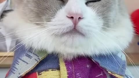 Is that a magic trick or something