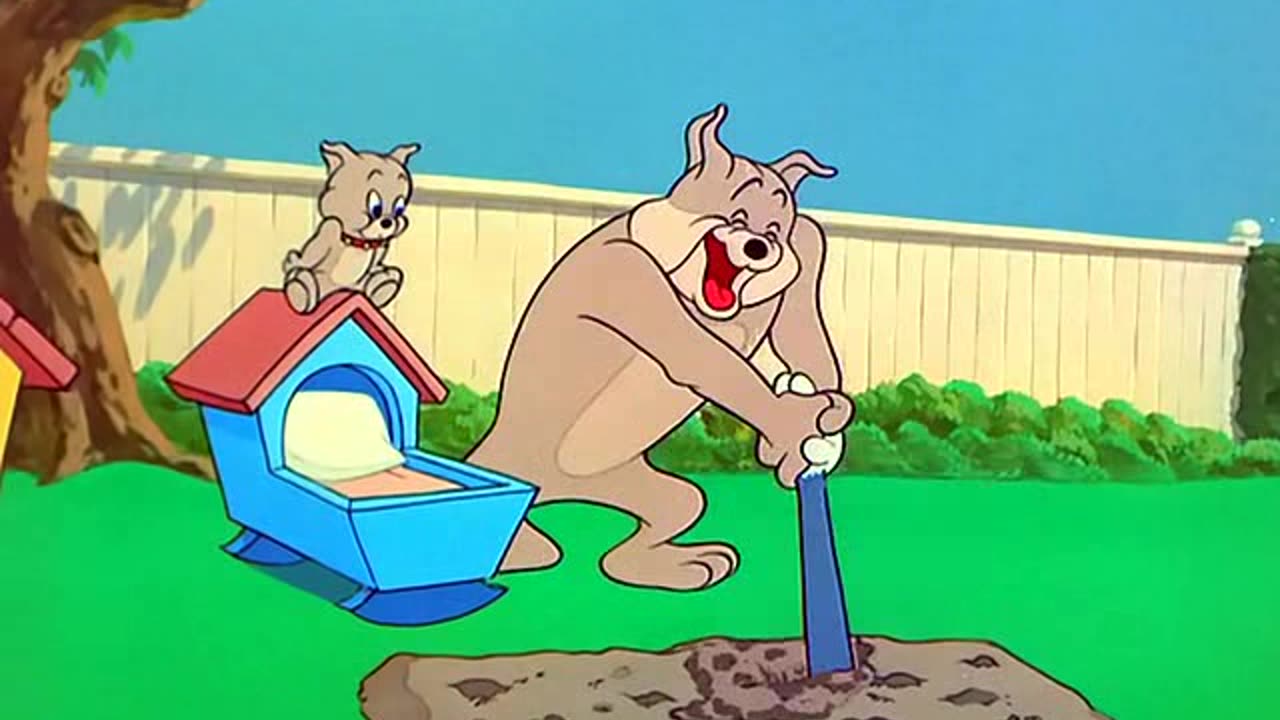 TOM N JERRY 082 Hic cup Pup [1954]