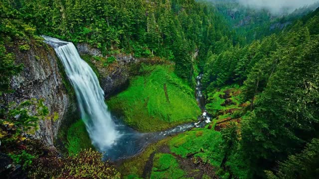 Mountain Stream Waterfall - 3 Hr Relaxing Birds & Water Sounds for Relaxing