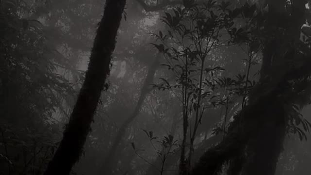 Explore