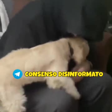 "Non posso vivere così"