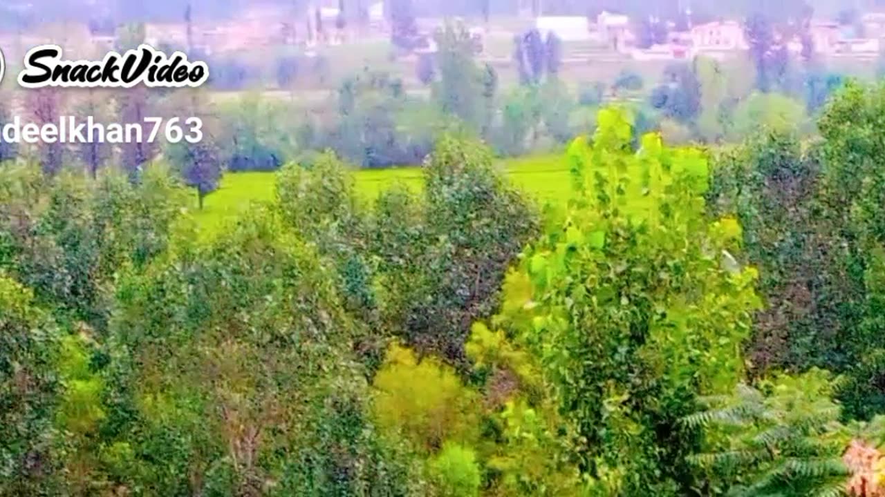 Beauty of Pakistan village of shinkiyari kpk