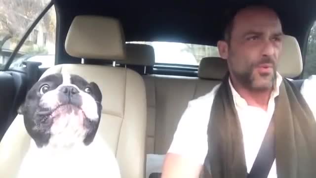 Singing Frenchie Is Back For Another Duet With His Owner