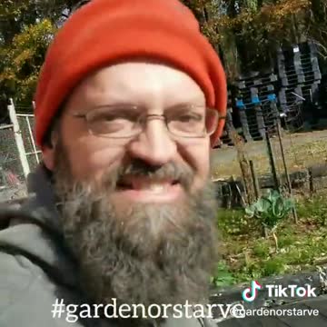 End of the Work Garden December 1 2022