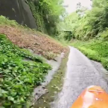 Very exciting sport. I call them crazy.