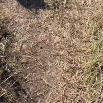 Ukrainian Failed Attack On Pervomaiskoe & Abandoned Their Dead Soldiers