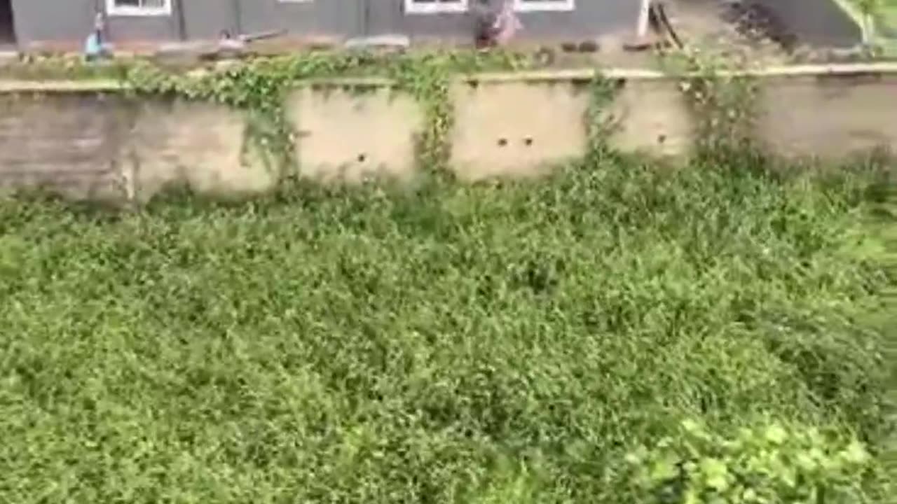 Caught in the Act