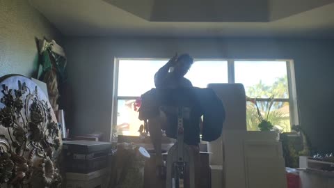 Panda workout