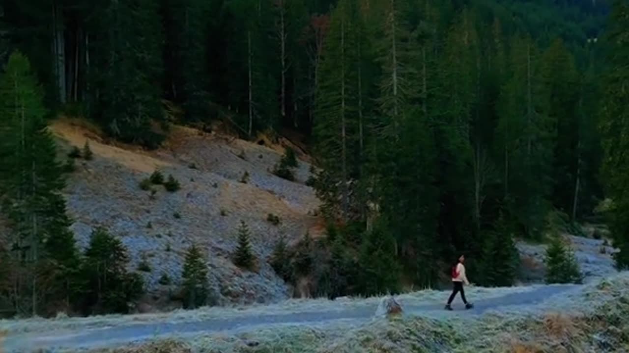 100$ Bonus https://app.walbi.com/join/9340c5