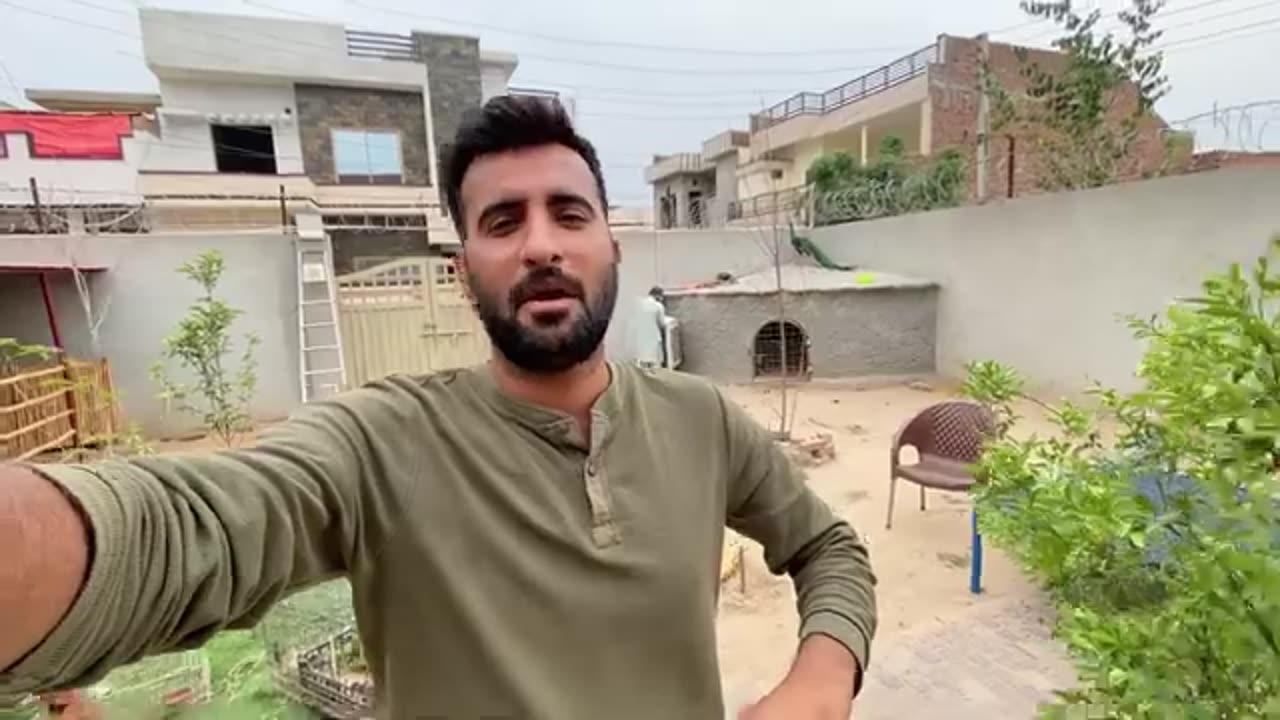 Hamara green parrot bhaag giya