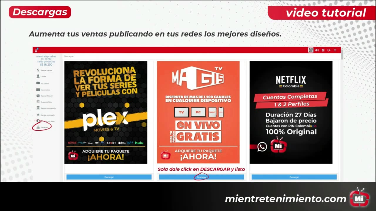 FUNCION DE LA PLATAFORMA STREAMING