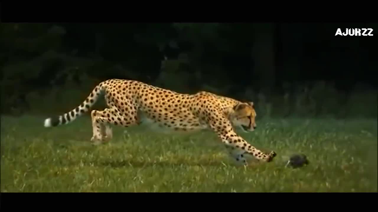 Motivational video _ This will change your mind _ whatsapp 30 sec video _