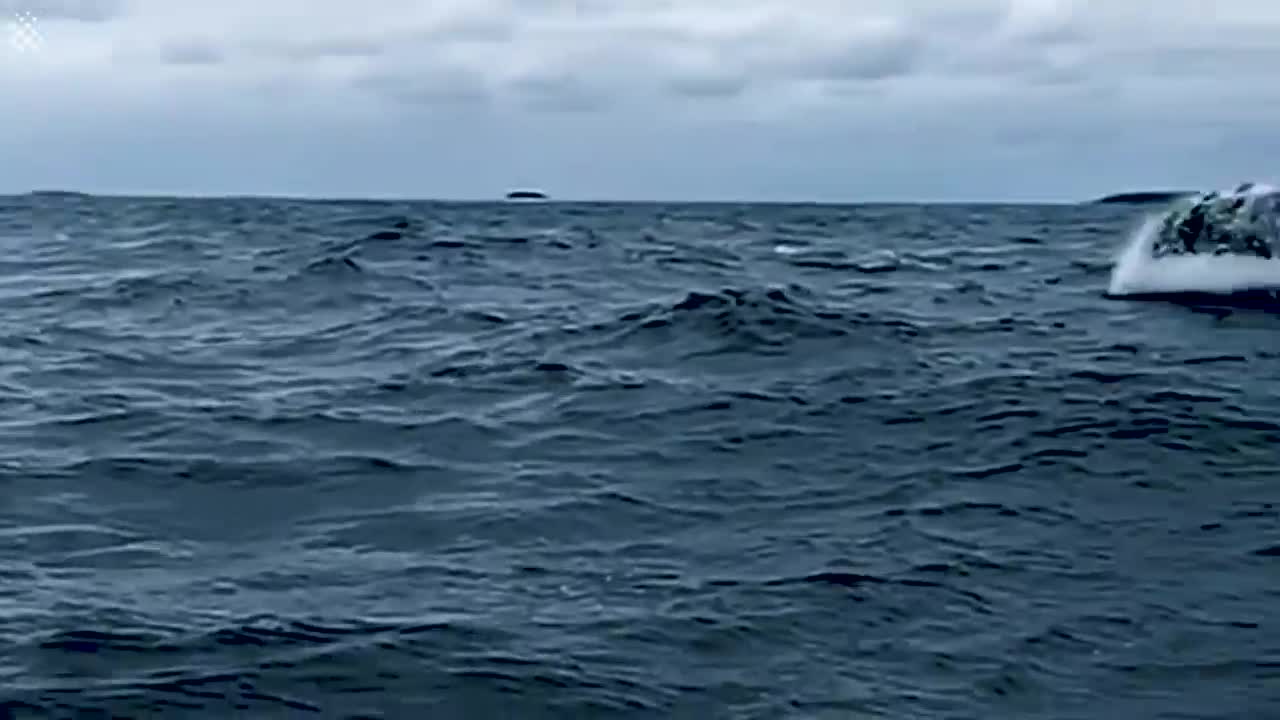 Giant Whale Jumps Out Of Nowhere - Incredibly Close Whale Encounters!-3