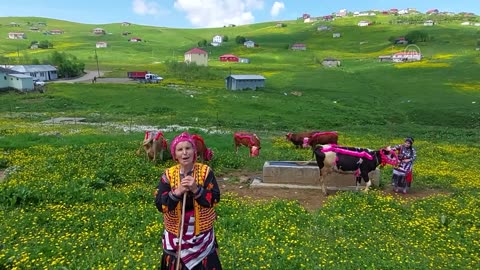 Colorful journey of nomadic herders​​​​​​​ in Türkiye’s Black Sea region