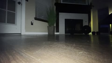 TRW Push-Ups 12.07.22 - Part 2 - 50 in a row