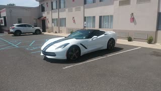 Chevy Corvette by. Jack the Irish wolfhound