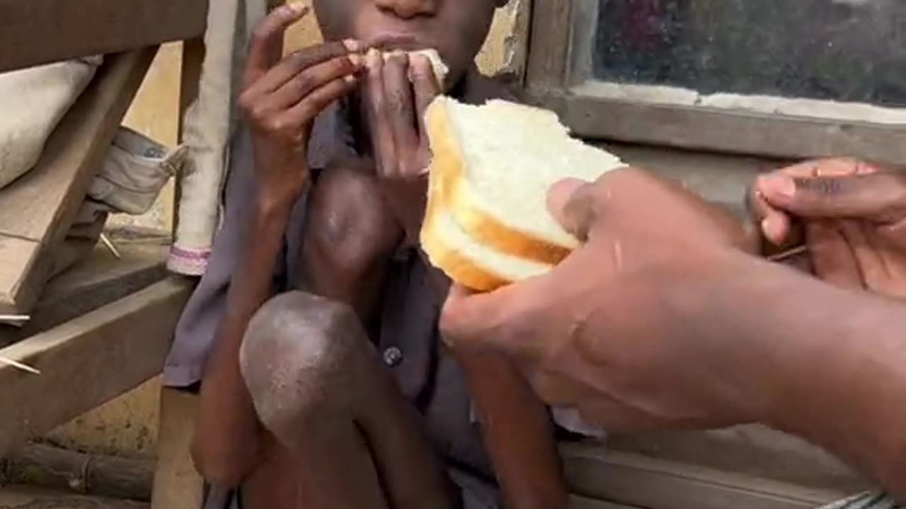 Hunger is serious and the cure is food, please choose