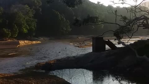 5.11.2024 The Barron River, Kuranda (3)