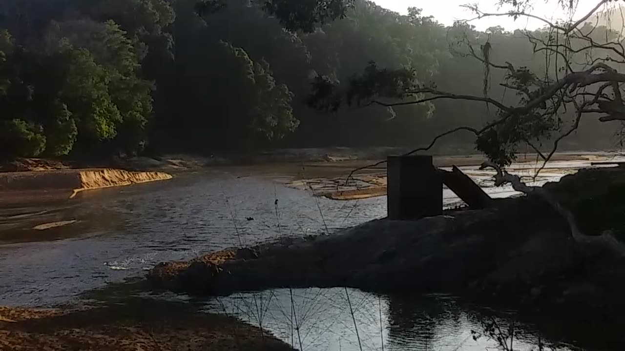 5.11.2024 The Barron River, Kuranda (3)