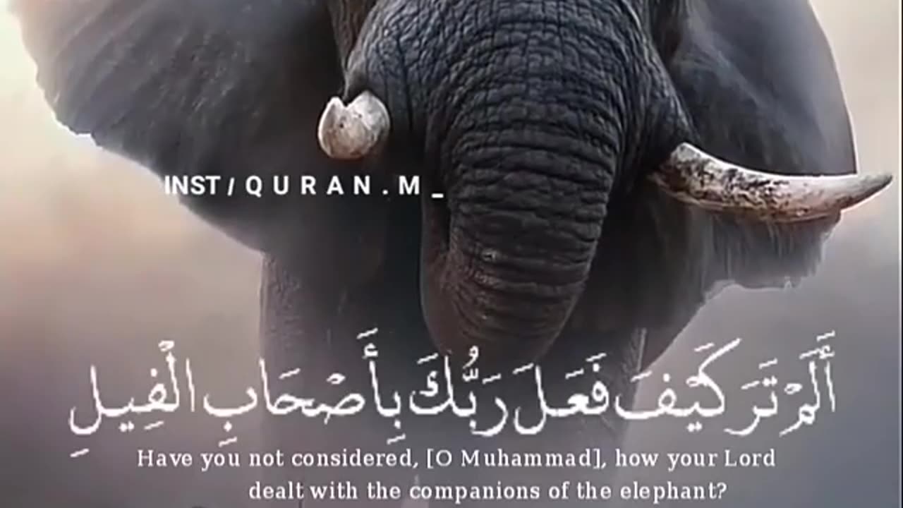 Allah Is the largest ❤❤