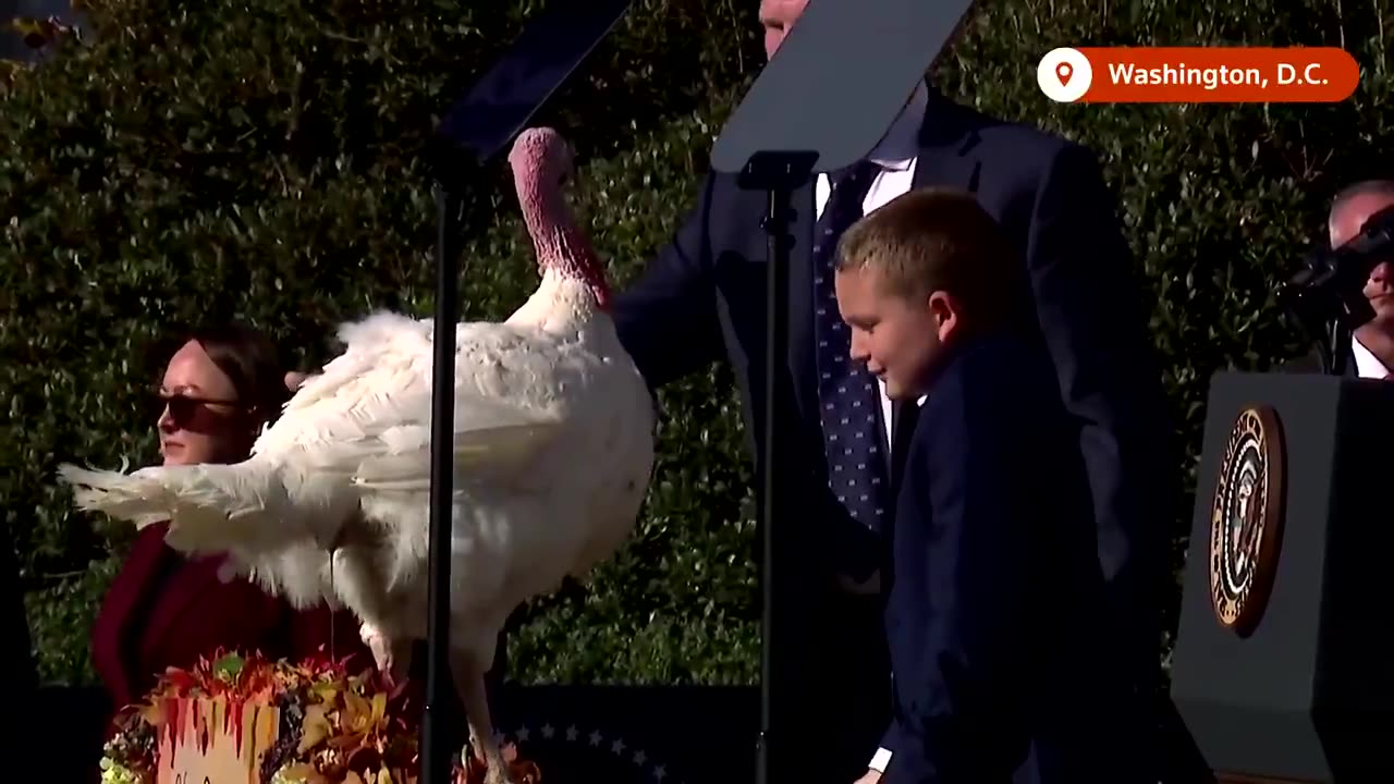 Biden's Final Turkey Pardon: Peach and Blossom Spared in Holiday Tradition