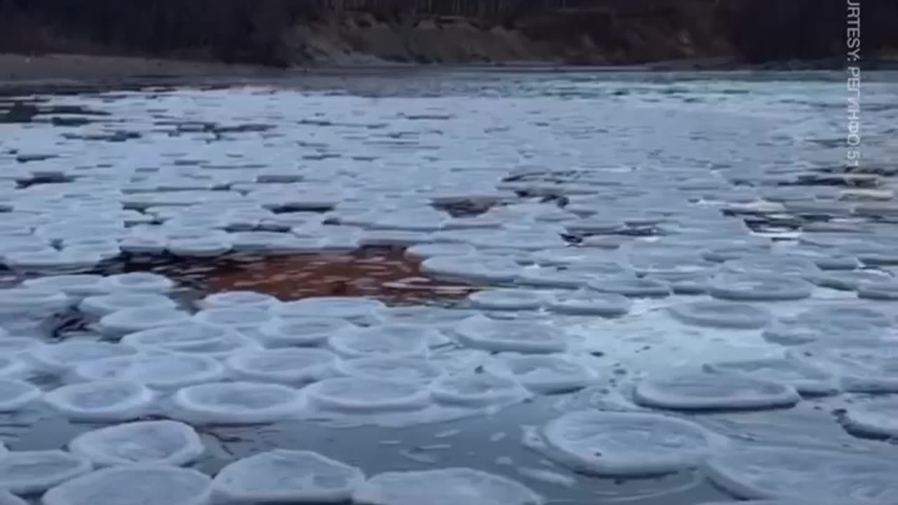 RARE ICE PANCAKES' SPOTTED ON RUSSIAN RIVER