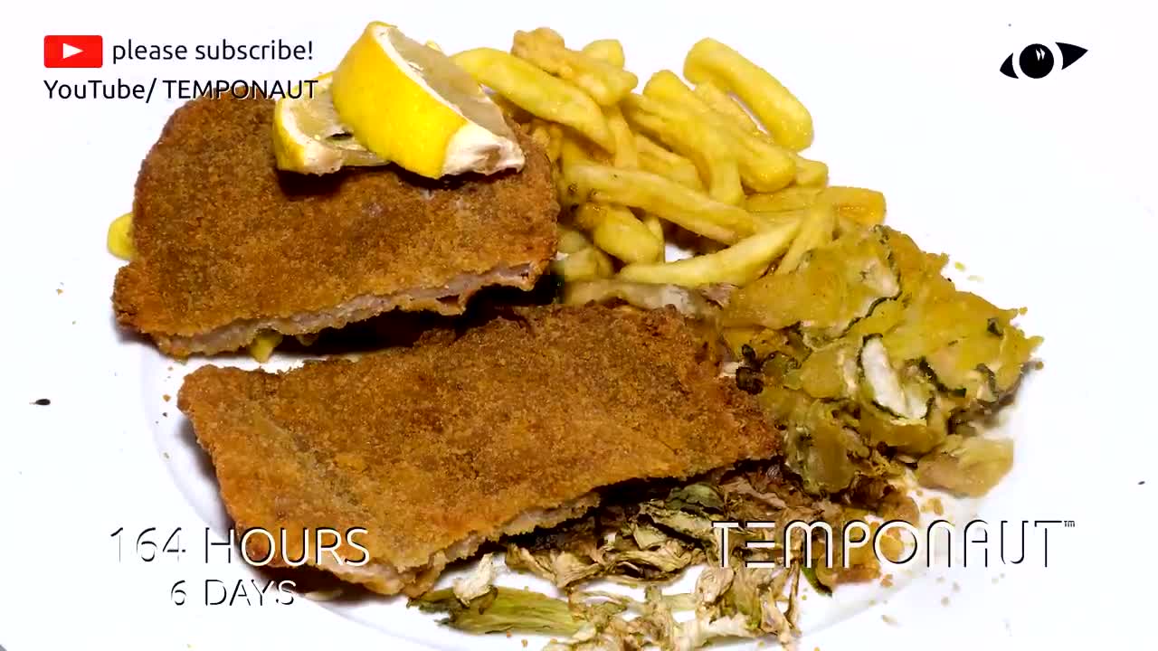 Timelapse Viennese Schnitzel