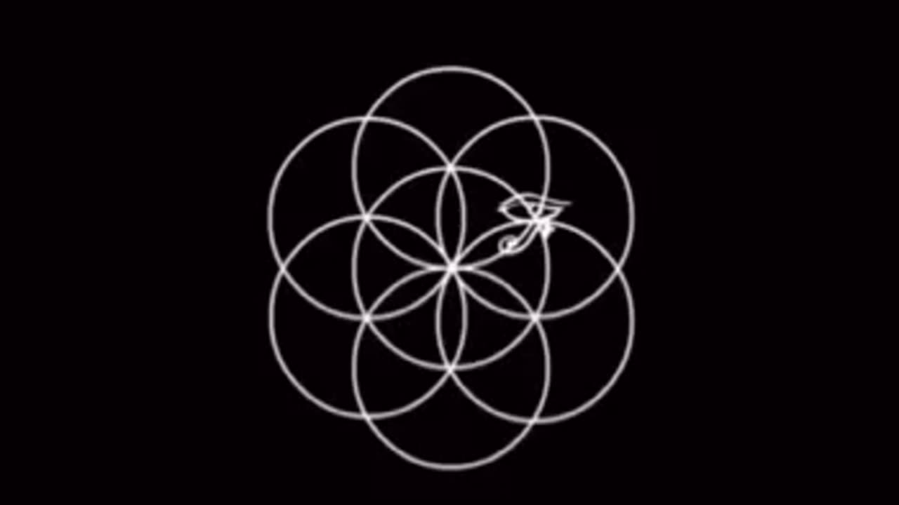 THE HIDDEN CODE - REVEALED