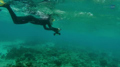 ScienceCast A New View of Coral Reefs