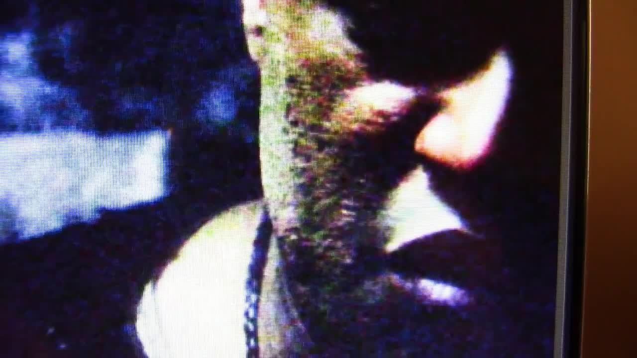 237. The Matrix Reloaded Reptilian Demon Exposure (Part 1)