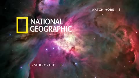 Patrolling the Bay on the New Hawk Five | To Catch a Smuggler: South Pacific | National Geographic