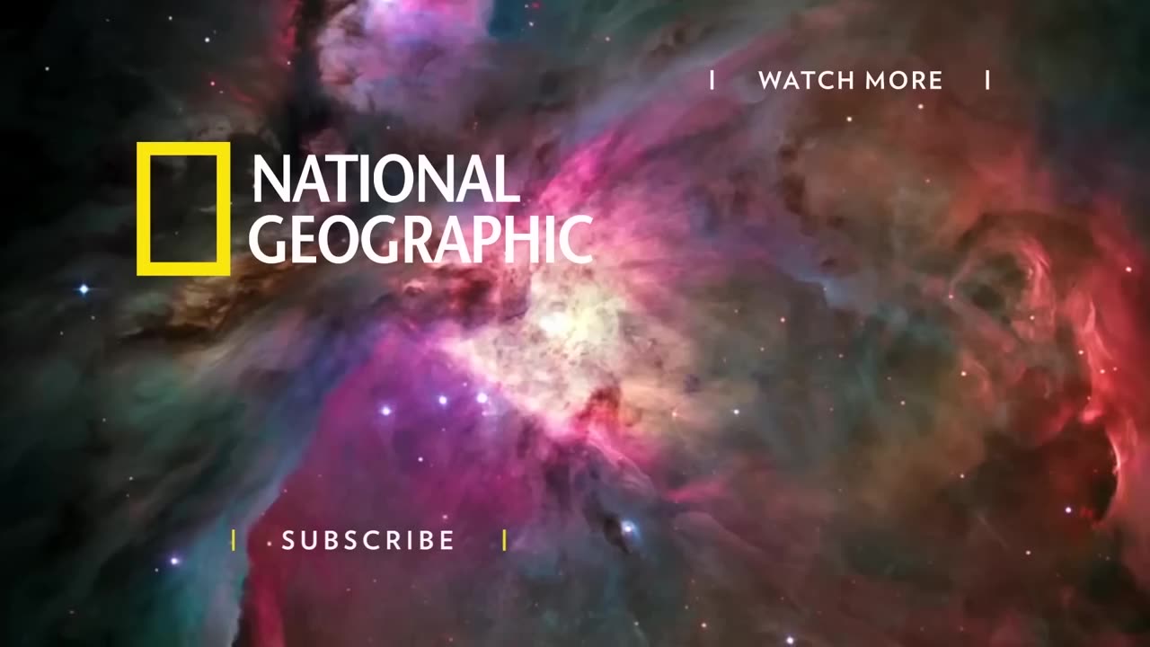 Patrolling the Bay on the New Hawk Five | To Catch a Smuggler: South Pacific | National Geographic