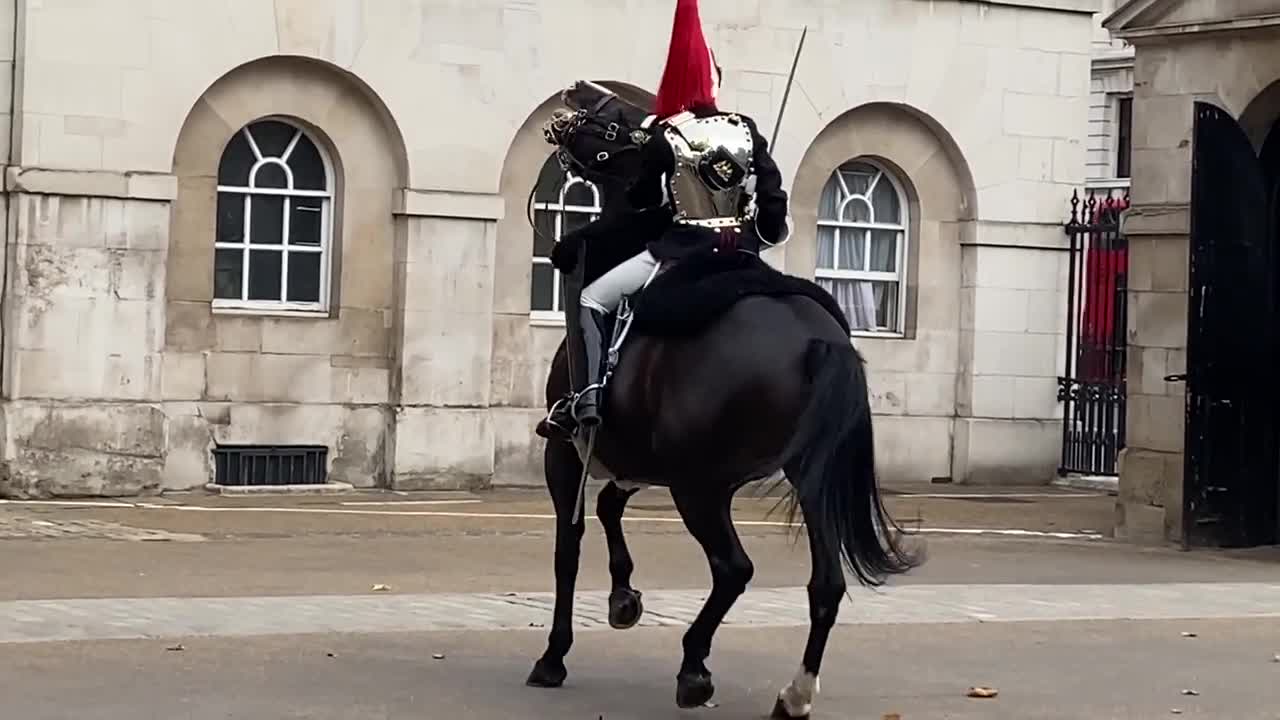 Queen’s Guard Horse Goes Crazy