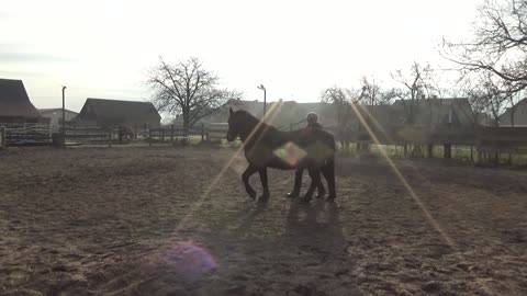 week of lessons with Bent Branderup 12/22