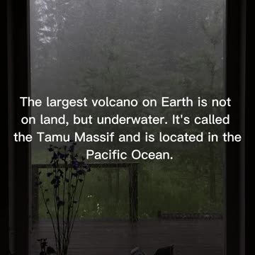 Amazing Facts #4