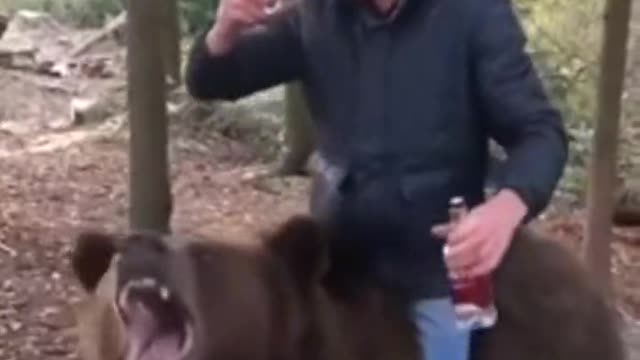 Russian Bears
