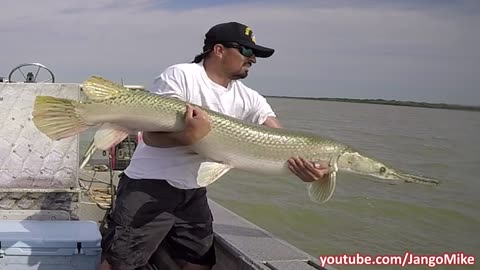 SLAPPED by a GIANT FISH! OMG Alligator Gar Fishing with JangoMike