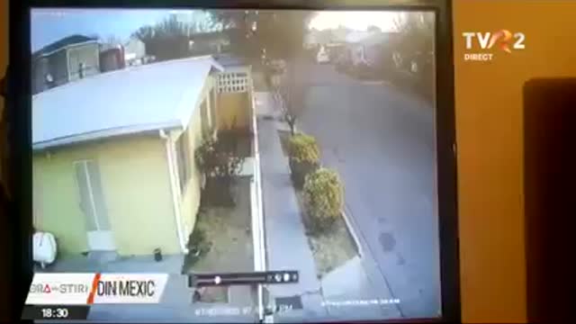 Stol de păsări doborât la pământ de 5G