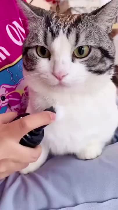 FUNNY ANIMAL😜😜