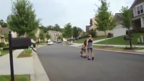 dog riding a scooter alone 🤣🤣🤩🤩