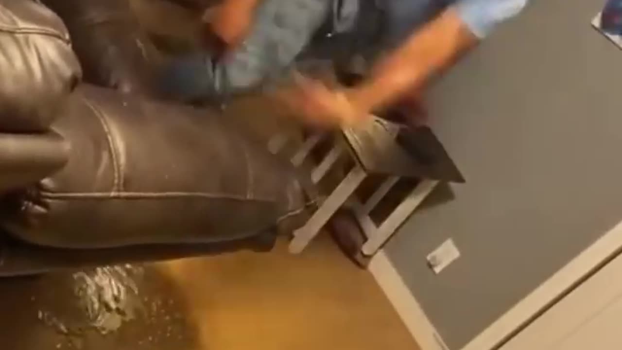 Funny Viral