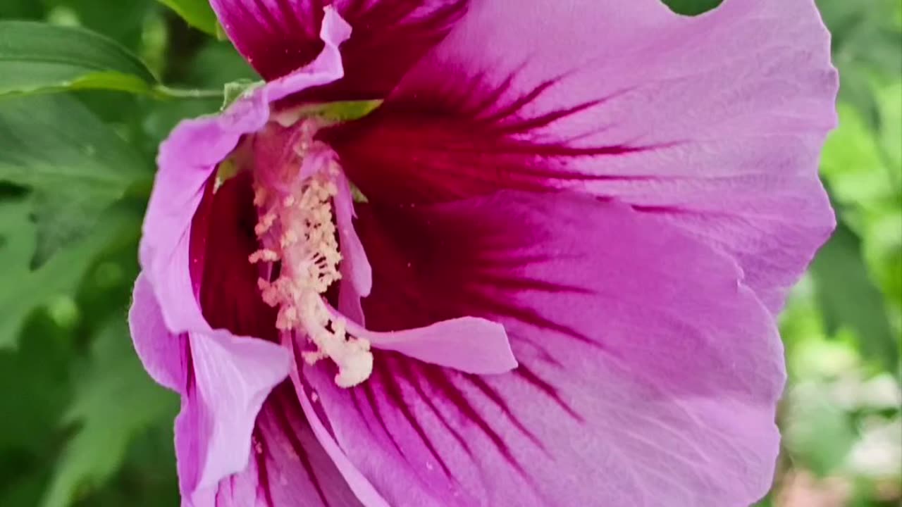 Happy Together With Flowers