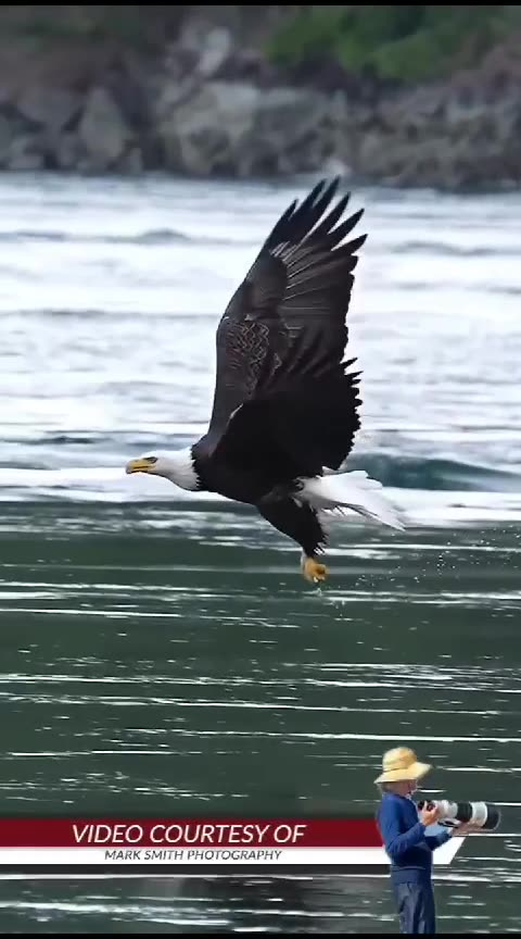 Hats off to the photographer.....