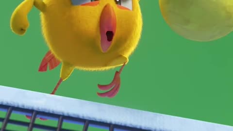 #SHORTS CHICKY