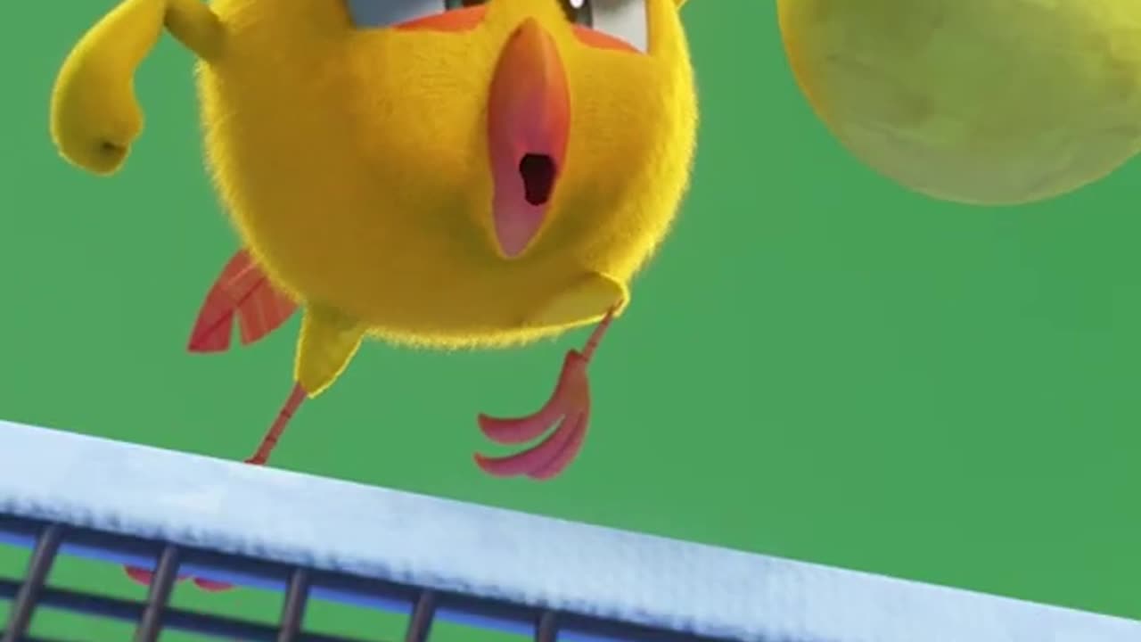 #SHORTS CHICKY