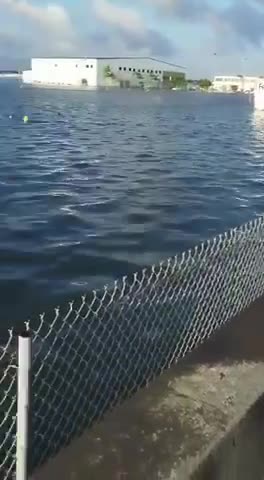 Fort Lauderdale, FL 4/14/23